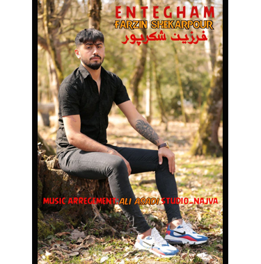 فرزین شکرپور انتقام